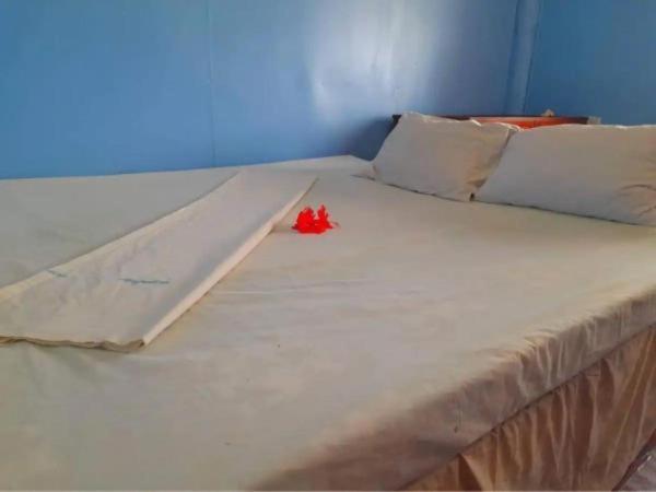 Mana Lagoon Backpackers Eksteriør billede